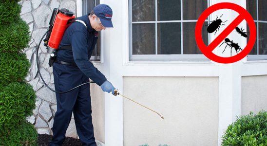 Erdek Fare İlaçlama böcek ilaçlama ve haşere kontrolü — ilaclama-tr.com